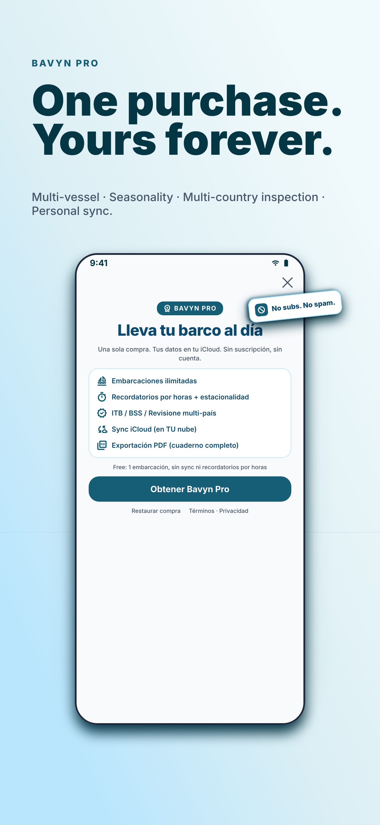 Bavyn Pro lifetime purchase screen — one-time payment, no subscription.