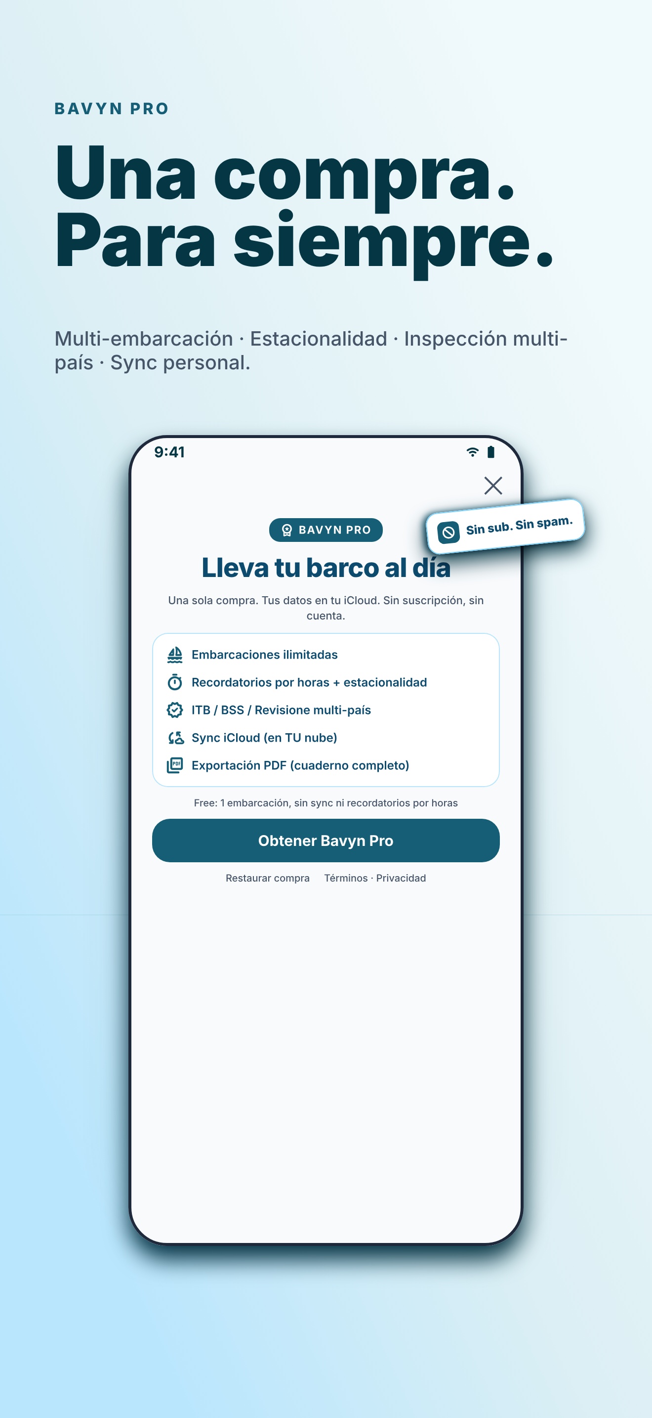 Pantalla de compra única de Bavyn Pro — sin suscripción.