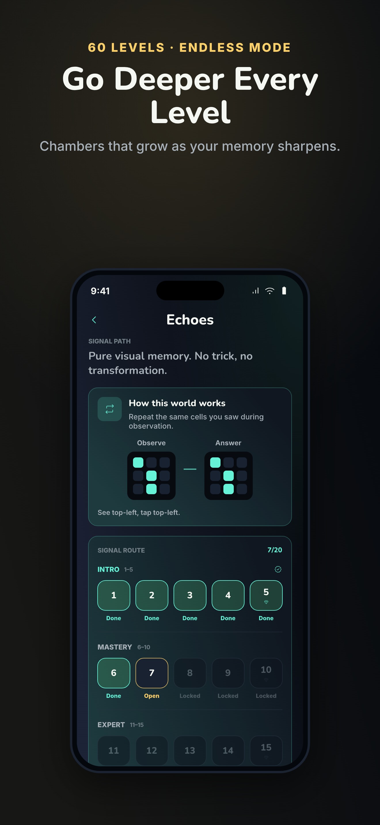 EchoGrid daily challenges and endless runs — build a streak, track mastery and unlock achievements, no account needed.